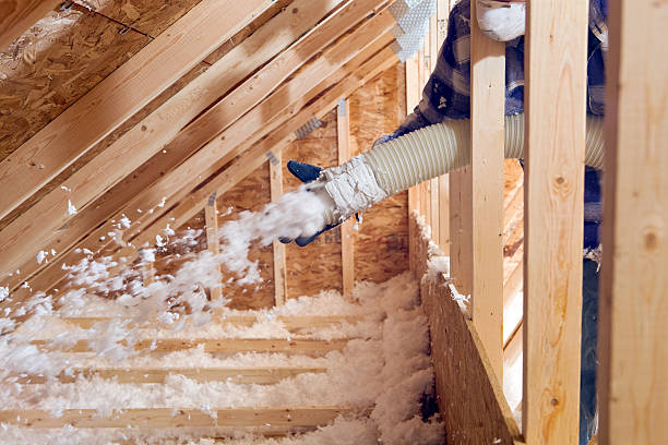 Best Soundproof Insulation  in Jacksonville Beach, FL