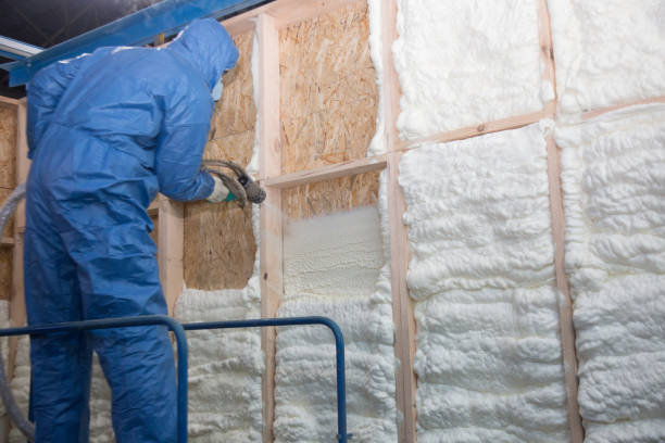 Best Blown-In Insulation  in Jacksonville Beach, FL